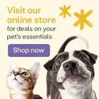 Practice Toolkit square banner - dog and cat