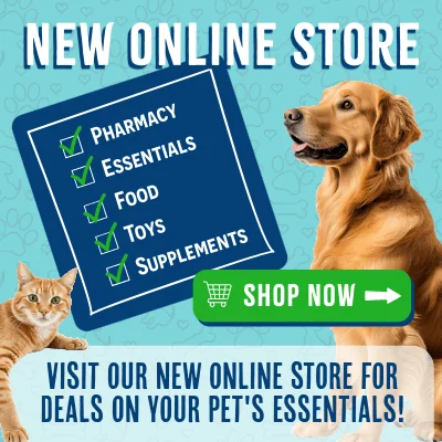 Online Store shop now button with cat and dog in background