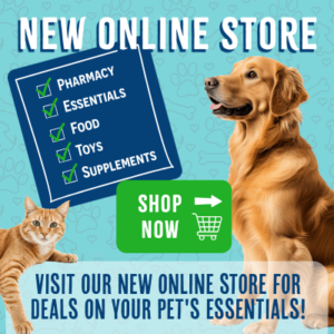 Online pharmacy shop now button with cat and dog in background
