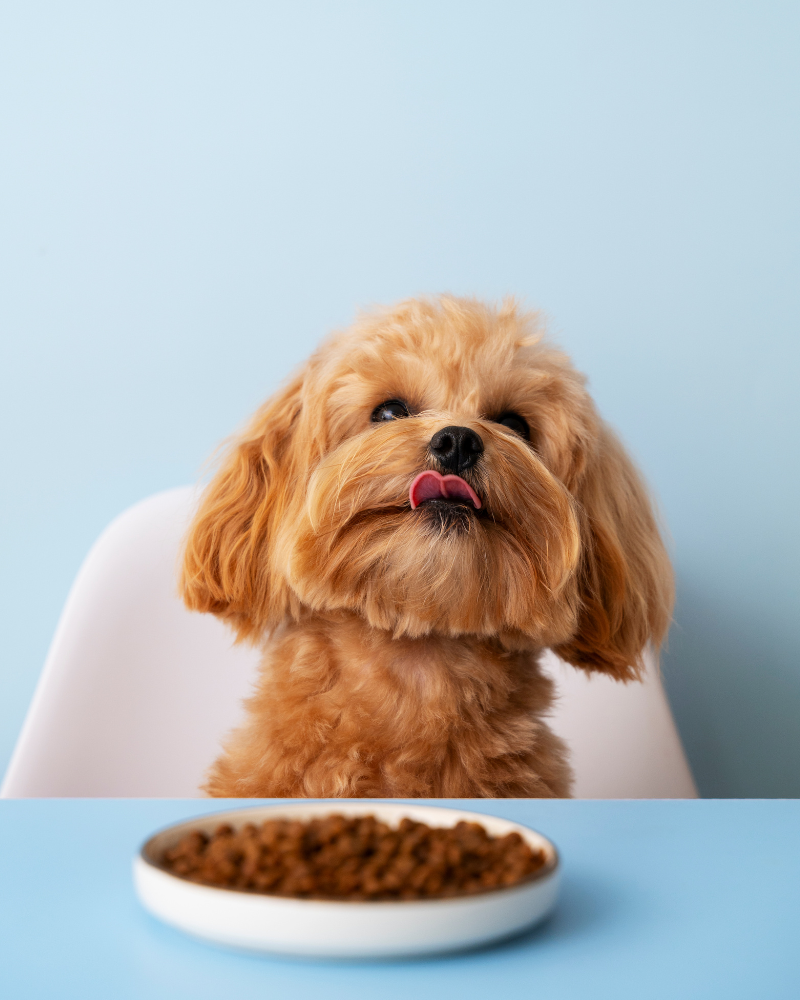 corner of modern building