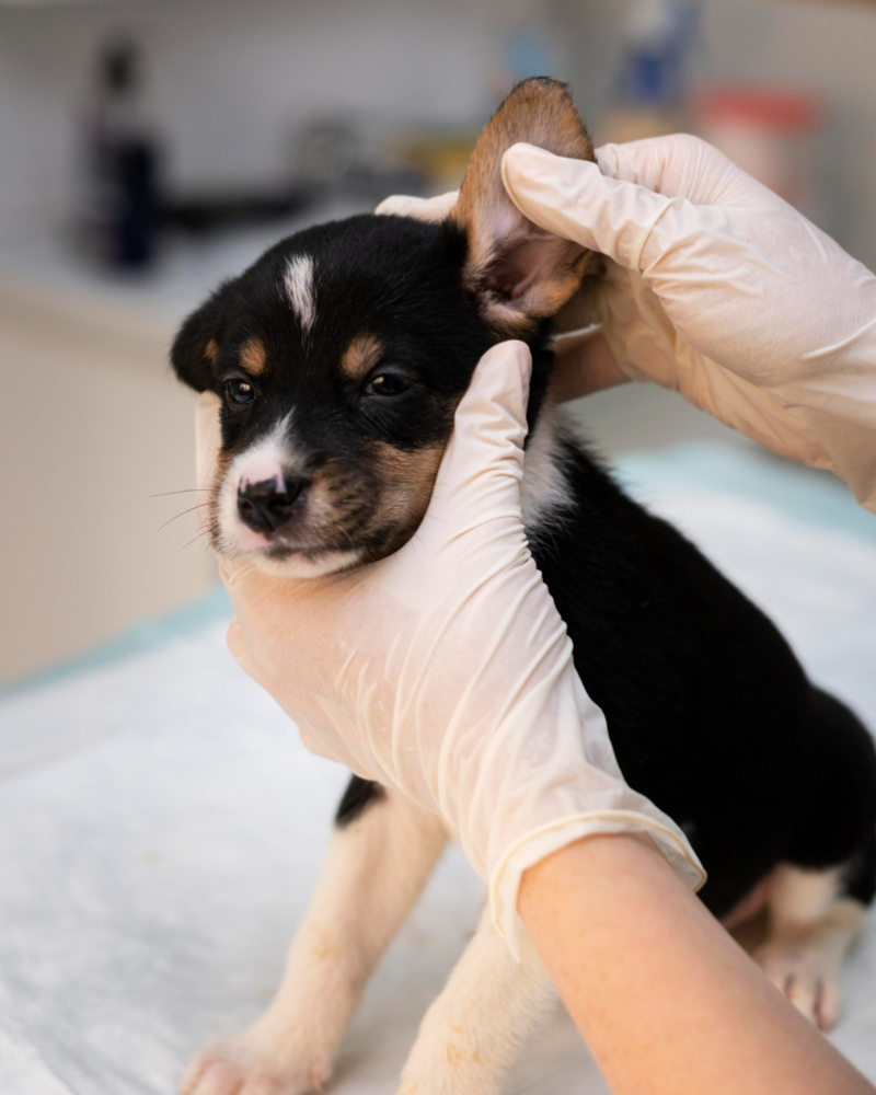 corner of modern building