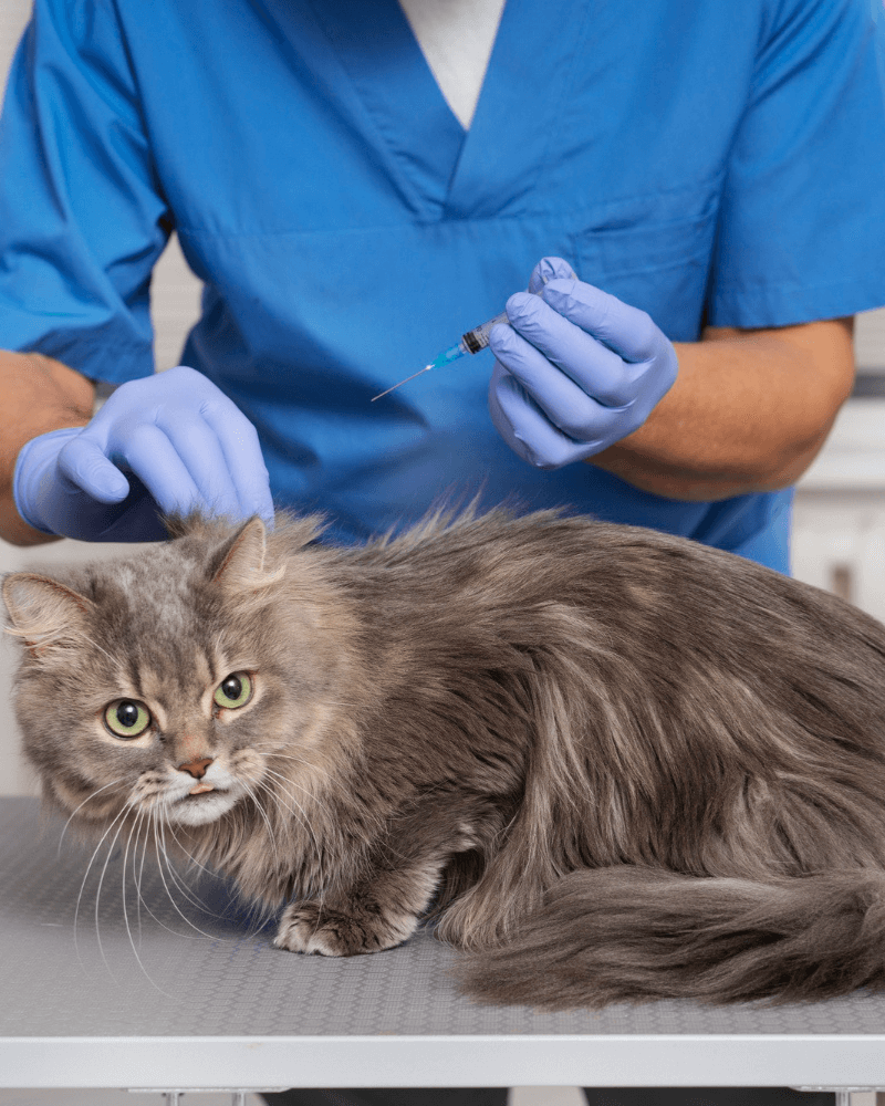 corner of modern building