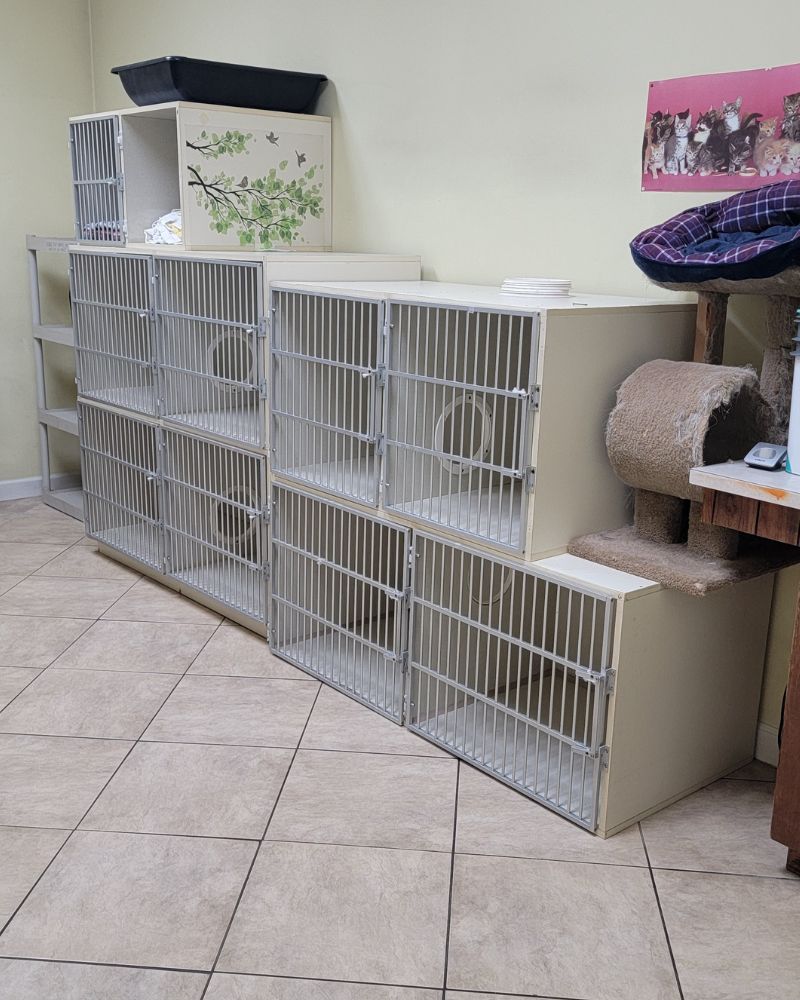 A room featuring multiple animal cages and a cat carrier
