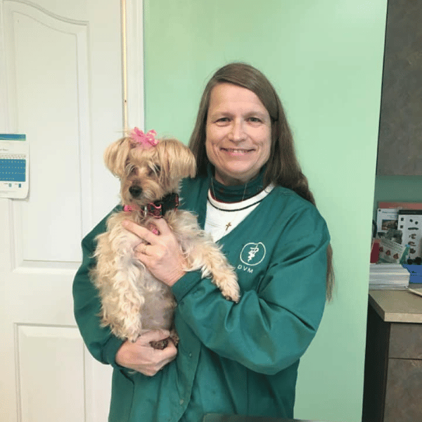 veterinarian holding a small brown and black dog